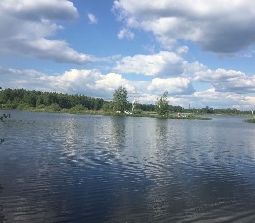 Поселок рязановский егорьевского района фото