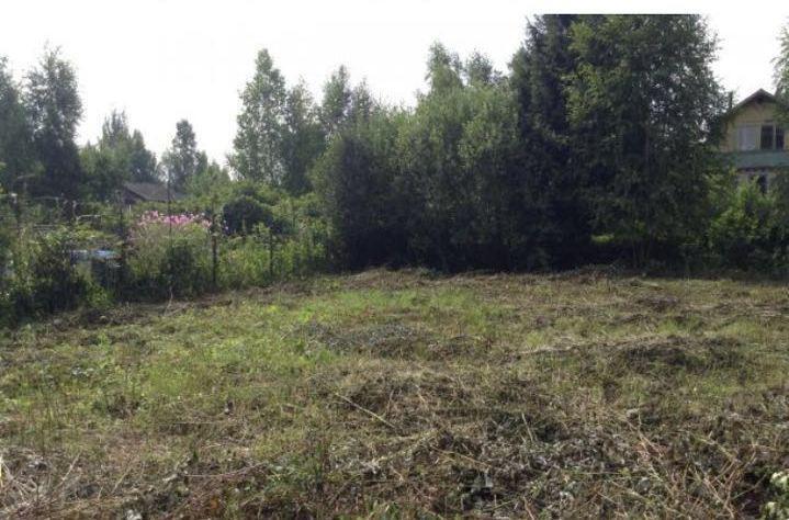 Погода в можайском районе мышкино. Деревня Мышкино Можайского района. СНТ Лидер Можайский район. Деревня Мышкино Можайского района вид сверху. Деревня Мышкино Можайского района фото