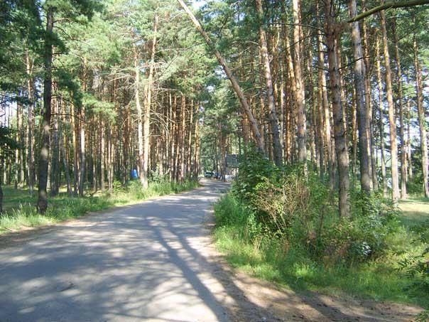 Карта новосельцево мытищинский район