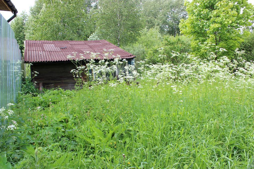 Деревня подосинки. Подосинки (посёлок, Дмитровский городской округ). Подосинки Давыдово ул Солнечная д113. Дрова Подосинки Дмитровский район.