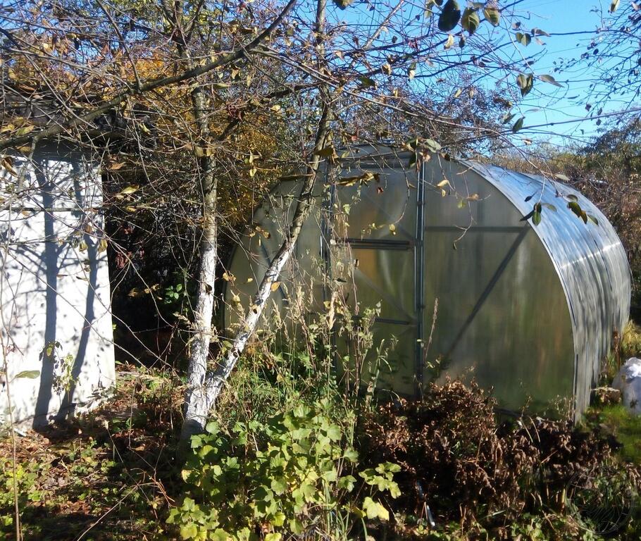 Снт зио 1. Снт зио 2 подольск. Снт 3 зио. Снт 3 зио. Снт 3 зио.