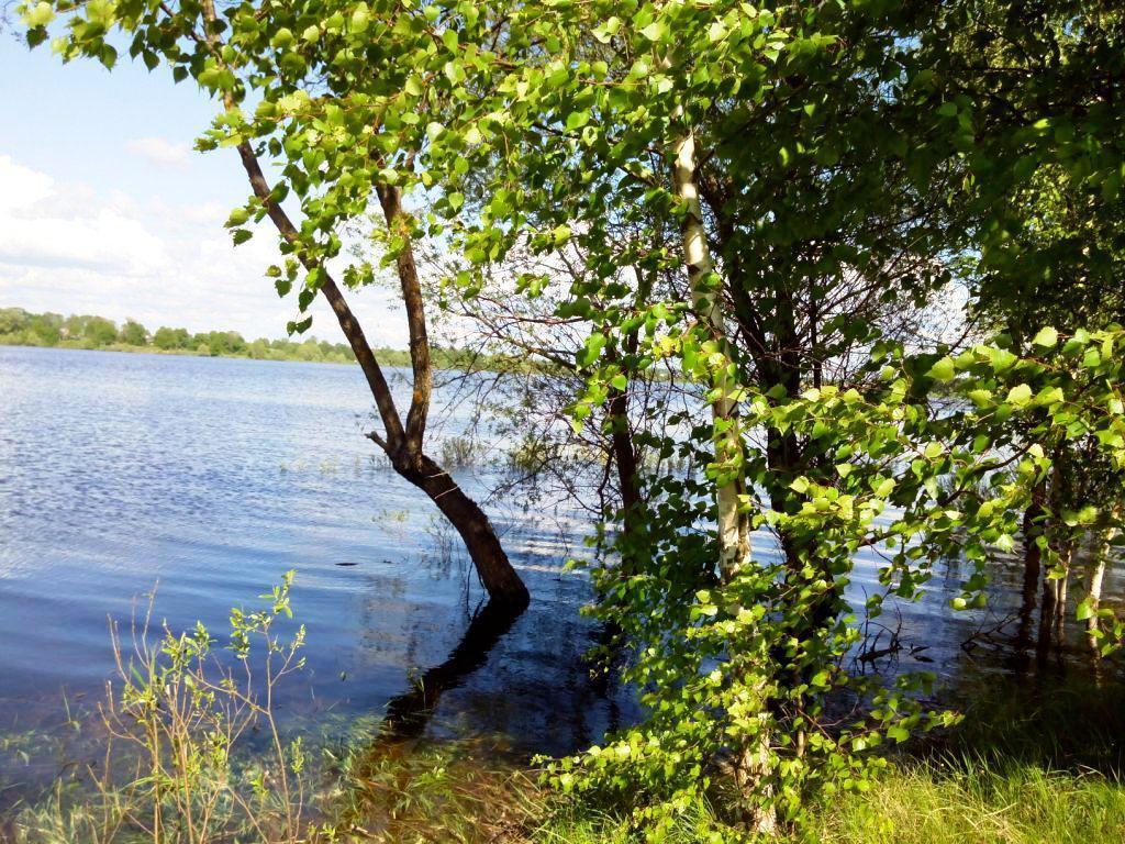 Дом на можайск водохранилище. Крылатки Можайский район. Деревня Крылатки Можайского района. Деревня Новомихайловка Можайский район. Глубины Можайского водохранилища деревня Поздняково.