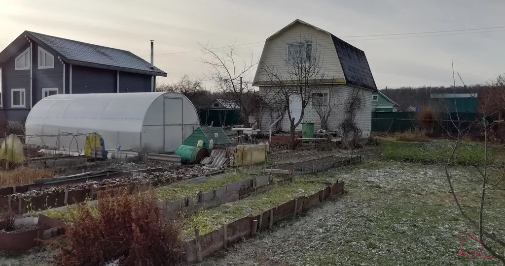 Купить Репку В Дубне Московской Области