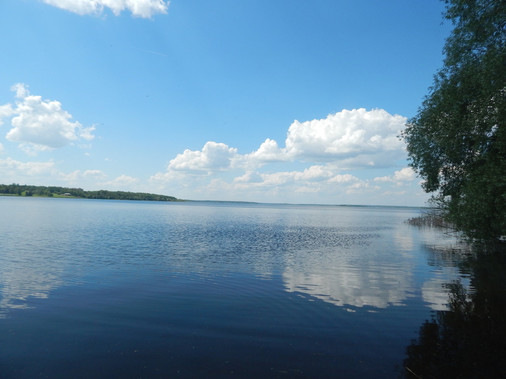 Беляная гора. Беляная гора Рузское водохранилище. Пляж Рузское водохранилище Беляная гора. Белая гора Рузское водохранилище. Поселок Беляная гора.