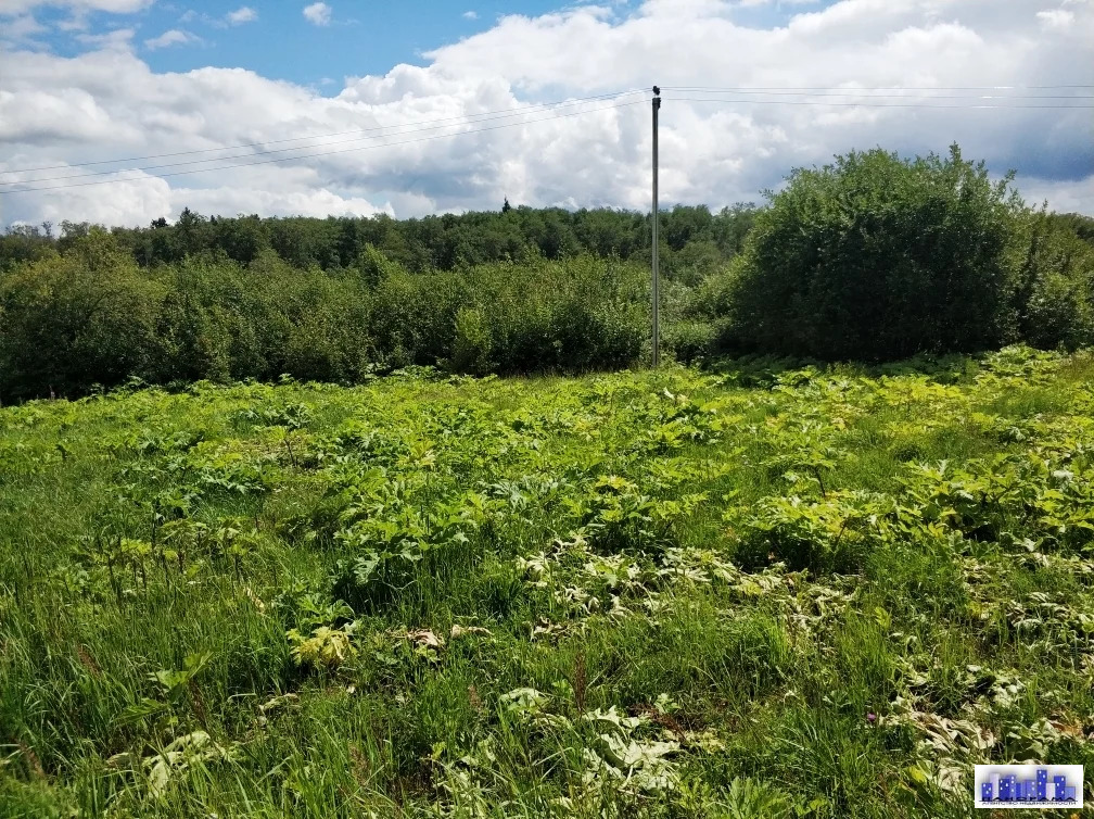 Погода в берсеневке