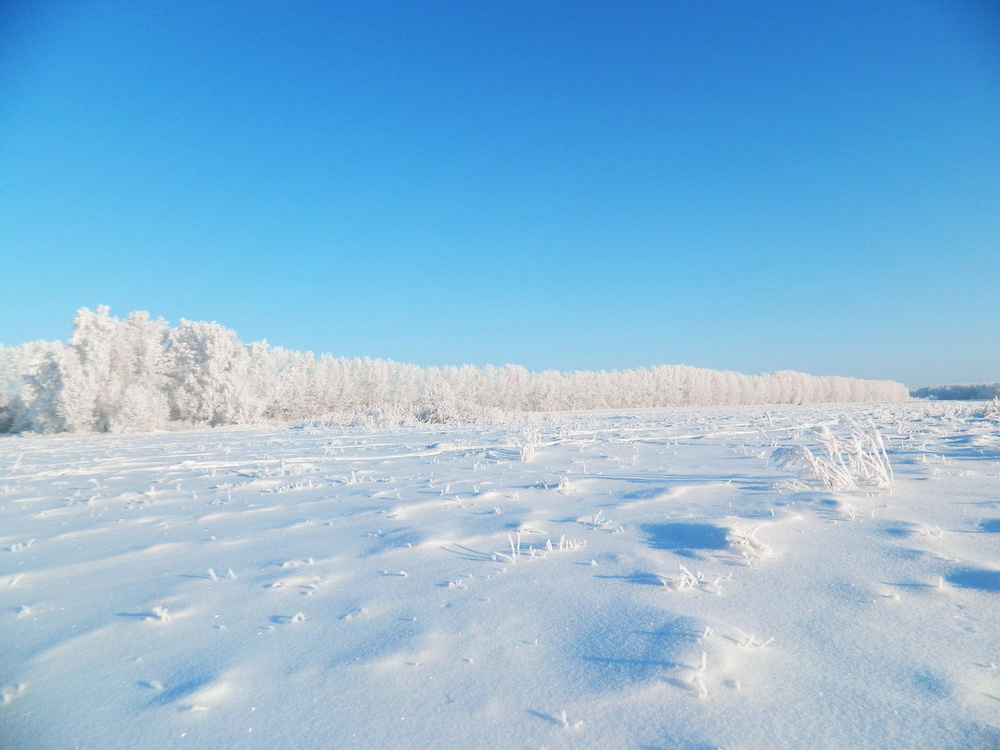 Панорама снежного поля