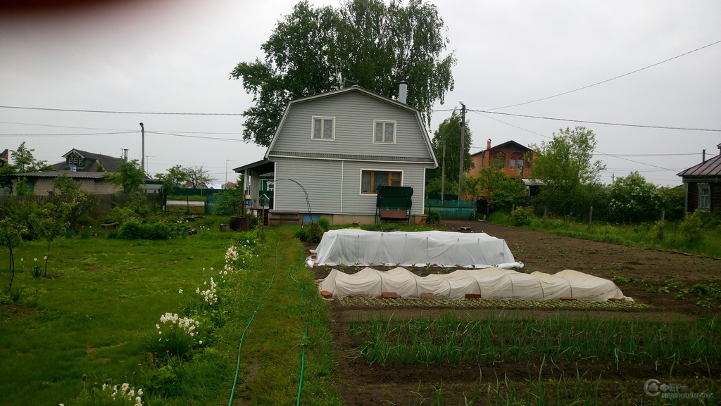 Д Цибино Воскресенский район