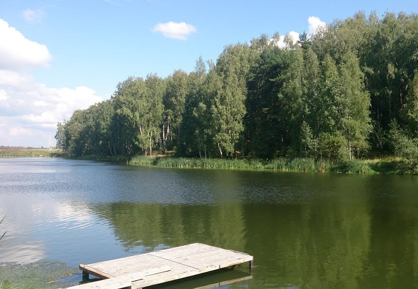 Погода в домодедовском районе. Деревня Сонино Домодедовский район. Сонино Домодедово. Пляж в Сонино Домодедово. Озёра Домодедовского округа.