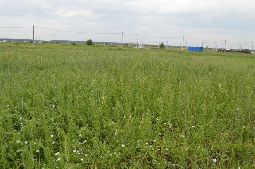 деревня кузнецово тверская область церковь. деревня кузнецово чкаловского района. деревня кузнецово раменский район. гисметео кузнецово раменского. гисметео кузнецово раменского.