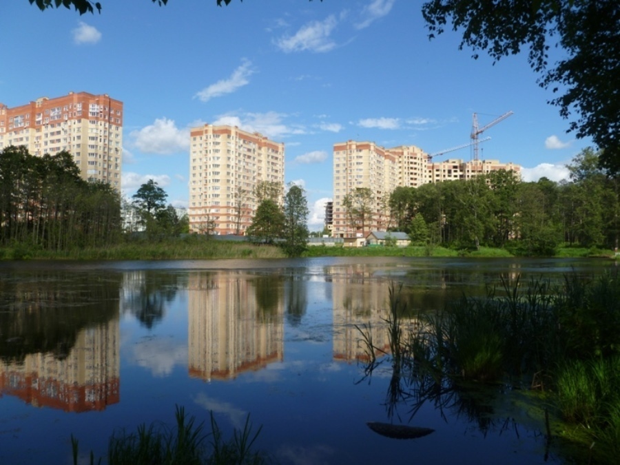 Г балашиха ул московская. Федурново. Деревня Федурново. Федурново Московская область озеро. Федурново пляж.