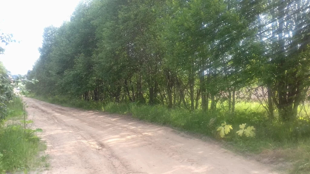 Купить Участок Леса В Собственность