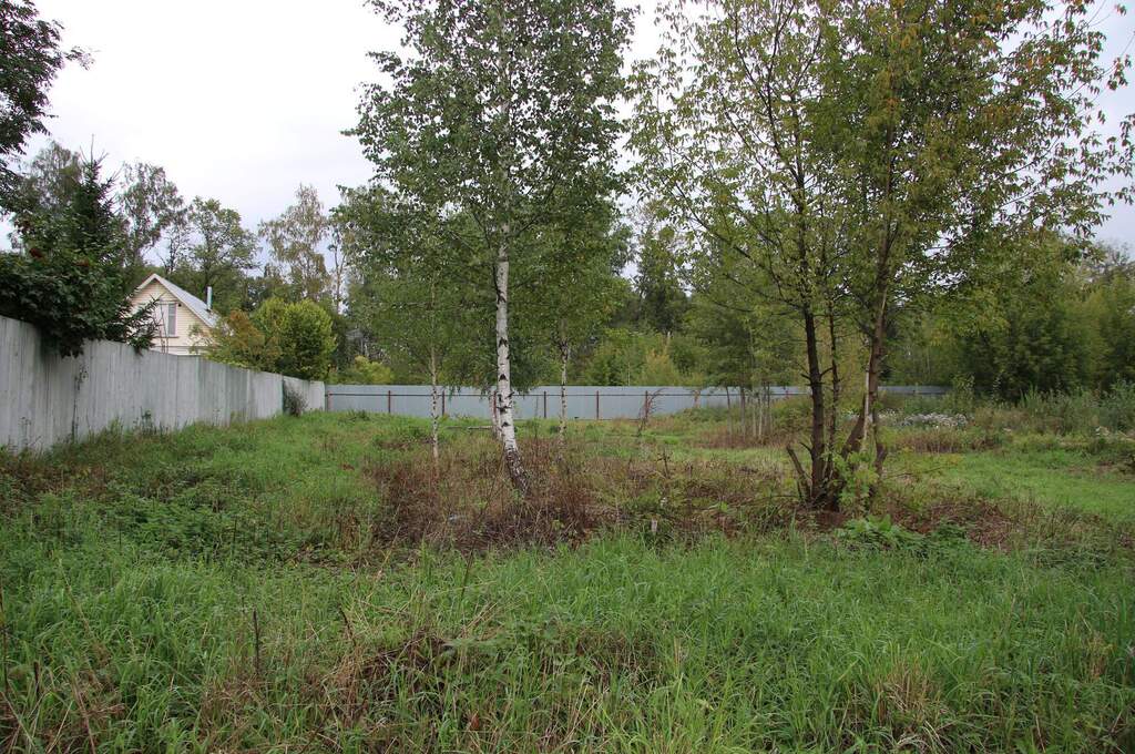 салтыковка 2023