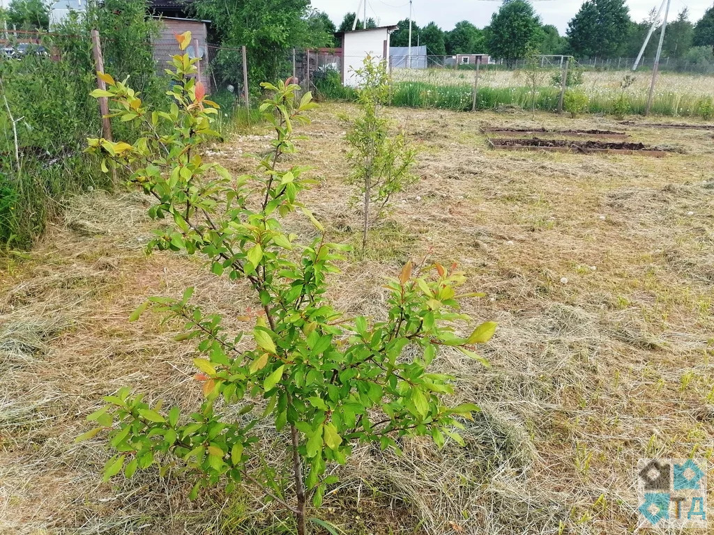 Купить Дом В Можайском Спб Красное Село