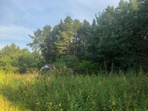 Купить дом в окружении леса можно уже сейчас!, 950000 руб.