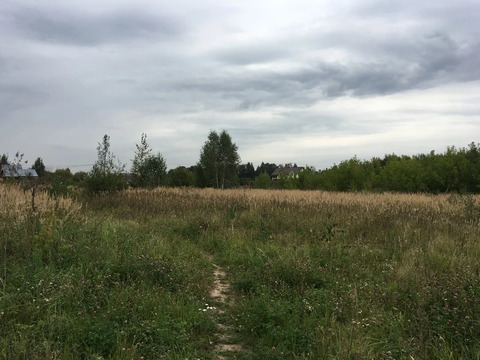 Участок 1500 кв.м. в районе Тучково в пос. Дубки Участок 1500 кв.м. в районе Тучково в пос. Дубки