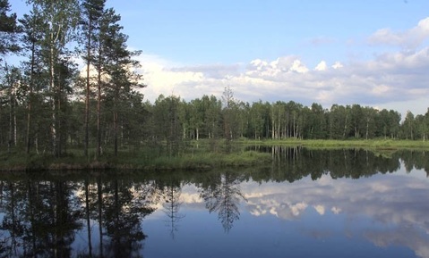 Продается земельный участок в новом поселке Пушкинского района, рядом, 472000 руб.