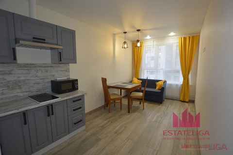 Глухово, 1-но комнатная квартира, Романовская улица д.13, 50000 руб.