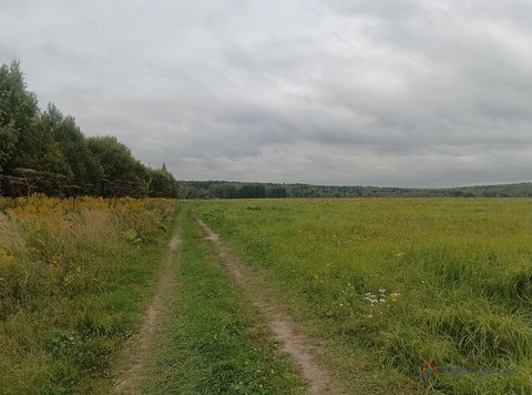 Продажа участка, Семеновское, Серпуховский район, 36180000 руб.