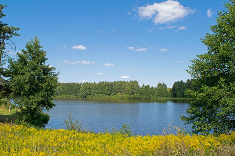 Участок ИЖС У соснового леса, 420000 руб.