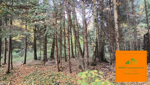 Продажа участка, Плесенское, Наро-Фоминский район, 15000000 руб.