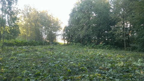 Продается большой зем.участок 40 сот в д. Старо Рузский р. Продается большой зем.участок 40 сот в д. Старо Рузский р.