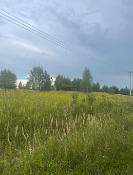 Продажа земельного участка, Костино, Серпуховский район, Костино д., 10800000 руб.