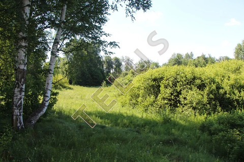 МО, Богородский г.о., с. Богослово, Земельный участок 7 га (ном. ..., 84000000 руб.