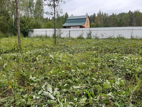 Участок у леса. Горьковское шоссе 50 км от МКАД. Участок у леса. Горьковское шоссе 50 км от МКАД.