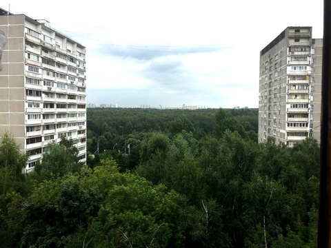 Москва, 2-х комнатная квартира, ул. Липецкая д.6 к1, 5790000 руб.