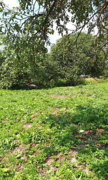 Участок 7,5 соток ЛПХ в д. Алексеевское Участок 7,5 соток ЛПХ в д. Алексеевское