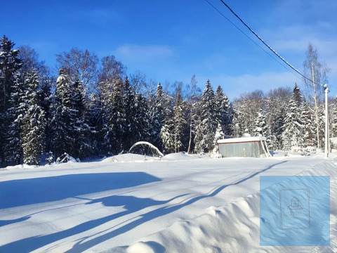 12 соток в Шапкино, СНТ Звездочка, 1600000 руб.