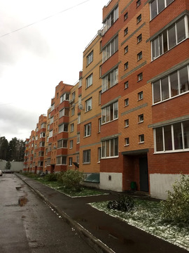Зеленоградский Зеленоградский