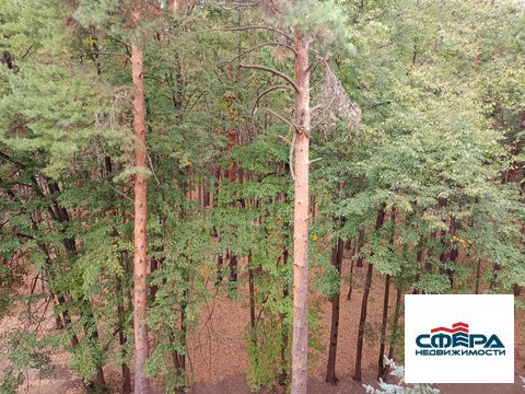 Продается студия 12,7 кв.м, в новом готовом комплексе Forest Suites Продается студия 12,7 кв.м, в новом готовом комплексе Forest Suites