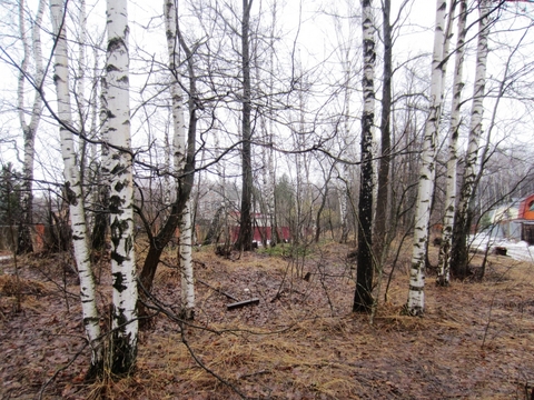 Участок Пушкино д, Горелый лес СНТ, 420000 руб.