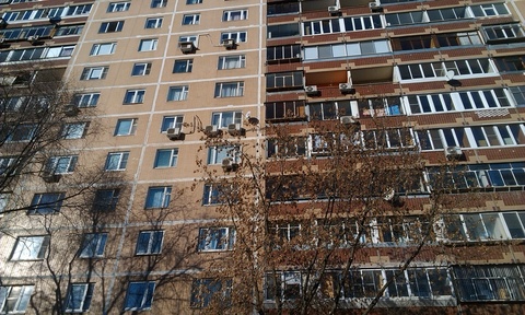 Москва, 3-х комнатная квартира, ул. Палехская д.21, 10500000 руб.