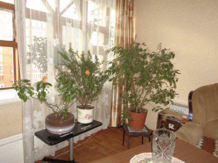 Домодедово, 3-х комнатная квартира, 25 лет Октября д.2, 5300000 руб.