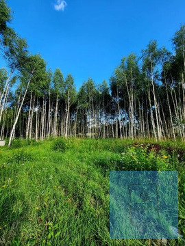 Первая линия от дороги. д. Ростовцево, 1400000 руб.