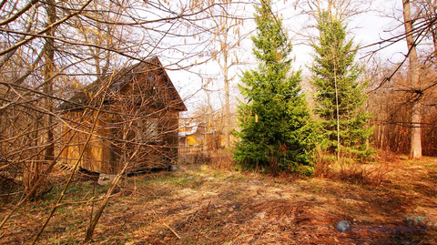 Летний домик в лесу в Волоколамском гор.округе Московской области