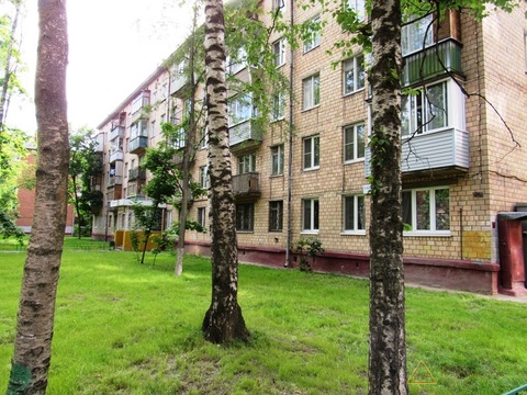 Химки, 1-но комнатная квартира, Спартаковская Улица д.16, 24000 руб.