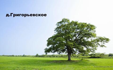 Продам земельный участок 12 соток (ЛПХ), д.Григорьевское, 850000 руб.