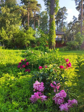 СНТ Лубянка СНТ Лубянка