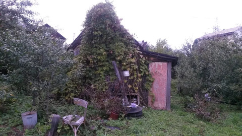 Дача в дер. Фатеево. Дача в дер. Фатеево.