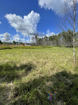 Продается участок площадью 12 соток в СНТ «Воскресенки», 650000 руб.