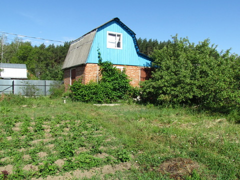 Продается дача в СНТ Ветеран д.Александровка Озерского района, 800000 руб.