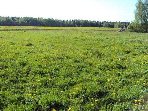 Продажа здания в Сергиев Посаде, 4200000 руб.