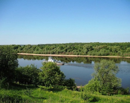 Продам дом на берегу Оки (первая линия от реки) в д. Ланьшино М/о, 4050000 руб.