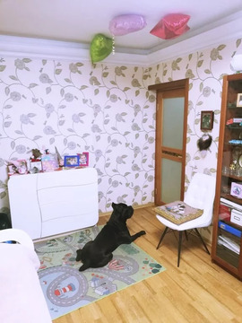 2-ком. квартира, ул. Шверника д. 17к3, м. Академическая 2-ком. квартира, ул. Шверника д. 17к3, м. Академическая
