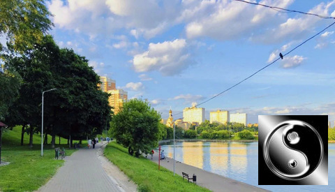 Сдам комнату 59.0/22м ул. Трофимова, 2/1, Москва, ЮАО, р-н Даниловский, 35000 руб.