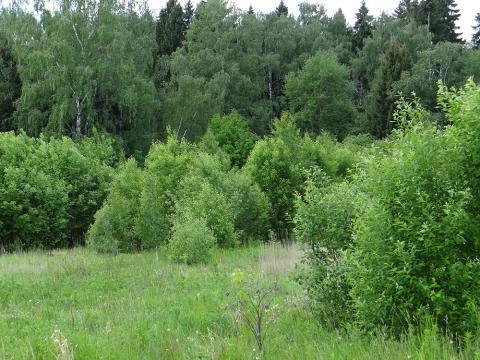 Земельный участок Дмитровское шоссе около воды с лесными деревьями, 21000000 руб.
