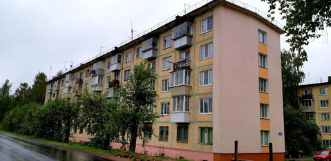 Нарынка, 1-но комнатная квартира, ул. Королева д.4, 1300000 руб.